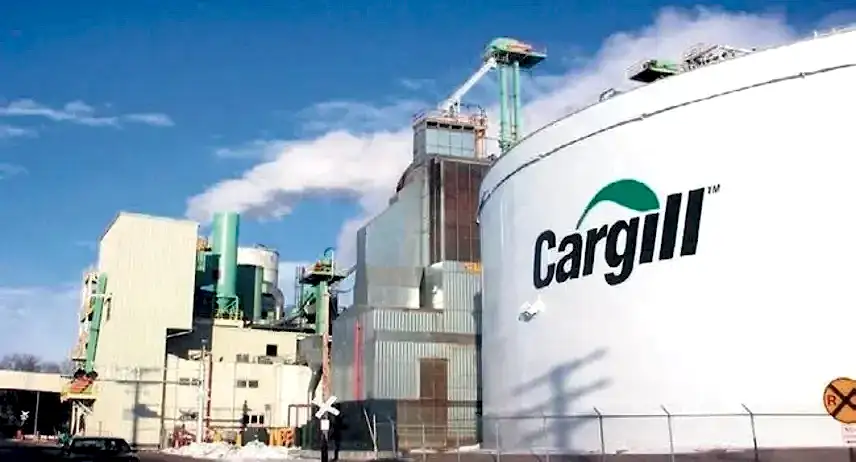 Cargill Gıda Kojenerasyon Projesi